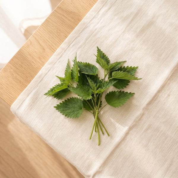 Nettle